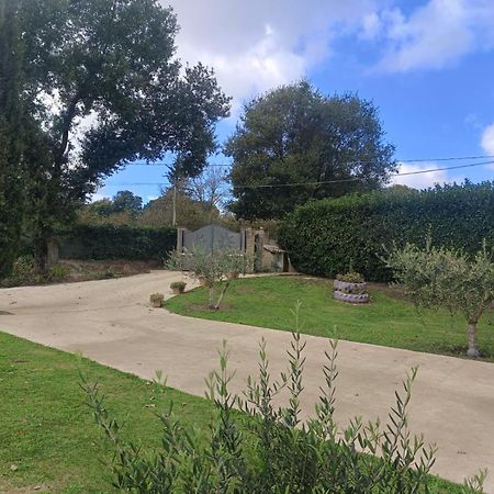 Tenuta Quadrone Cura di Vetralla المظهر الخارجي الصورة